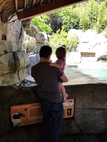 dad and child at zoo one on one dates