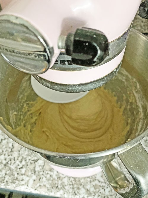 stand mixer using dough hook with cinnamon rolls batter