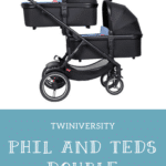 phil and teds double stroller voyager