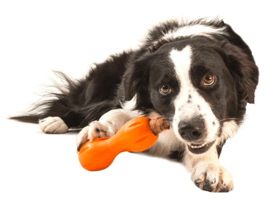 gifts for dogs