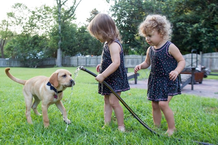 twin little girls and puppy in the yard spring clean up