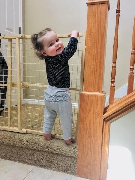 toddler climbing baby gate strong-willed child