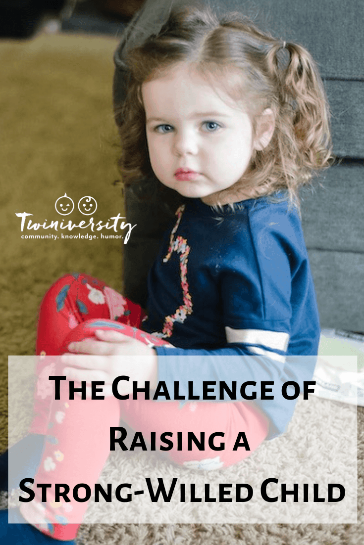 The Challenge of Raising a Strong-Willed Child