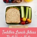 Toddler Lunch Ideas That Your Kids Will Actually Eat