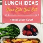 Toddler Lunch Ideas That Your Kids Will Actually Eat