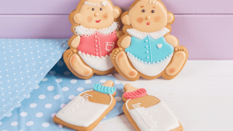 The Ultimate Twin Pregnancy Guide