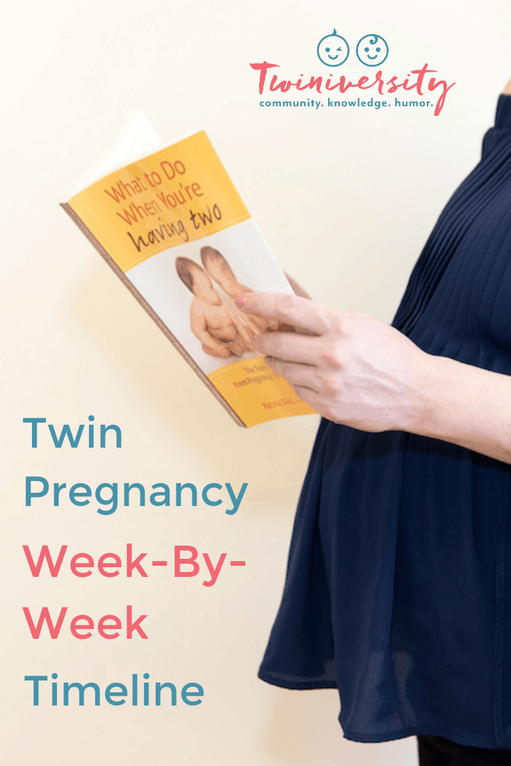 Twin Pregnancy Week By Week Timeline Twiniversity