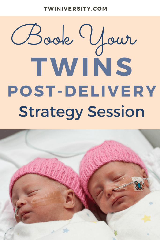 Twins Post-Delivery Strategy Session with Postpartum Doula Lauren Oak