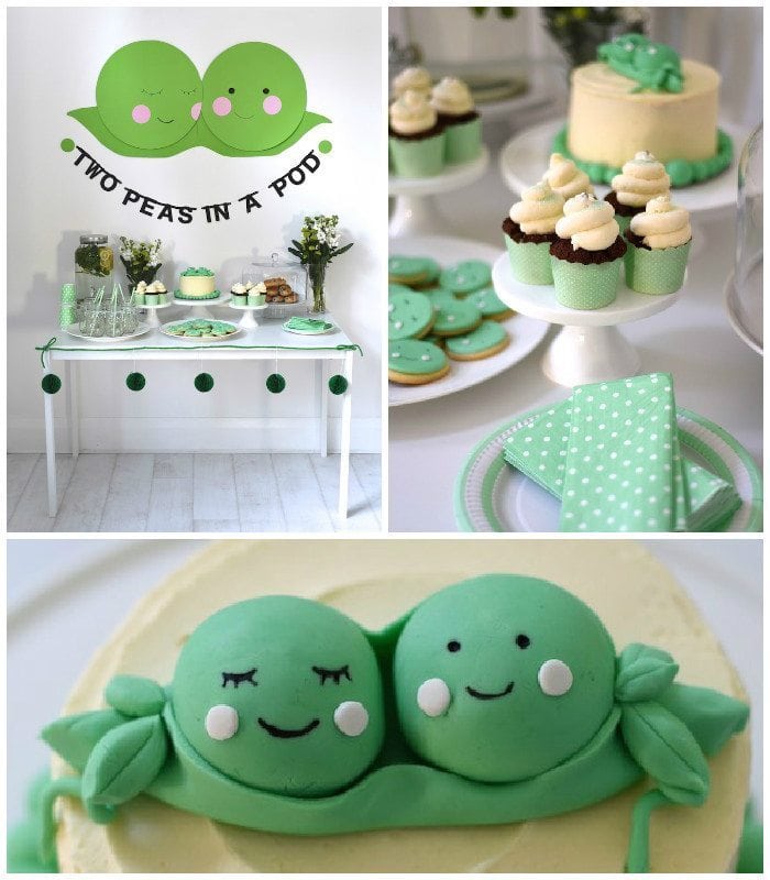 twin baby shower