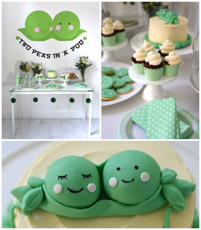 twin girl and boy baby shower themes