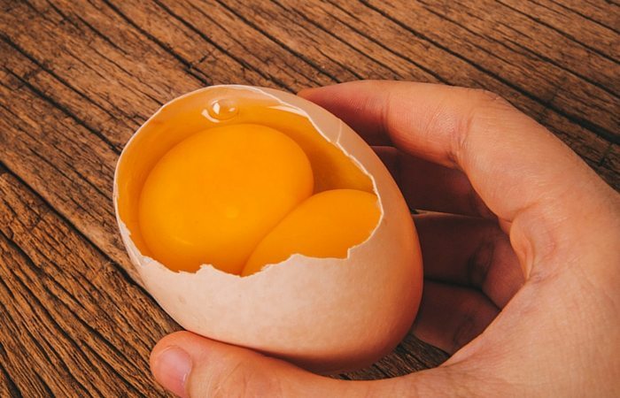 Double yolkk egg