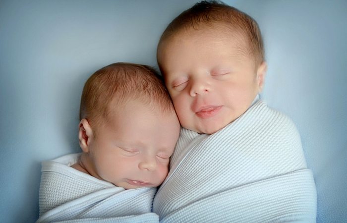 newborn twins swaddled