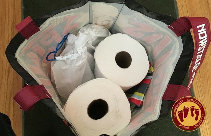 Potty training bag for car