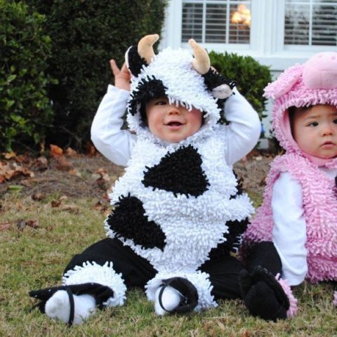 Twin Girls Halloween Costumes Ideas for Your Sweeties