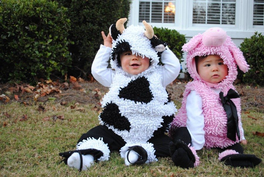 Twin Halloween Costumes for Twins or More!