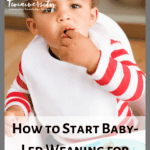 baby-led weaning