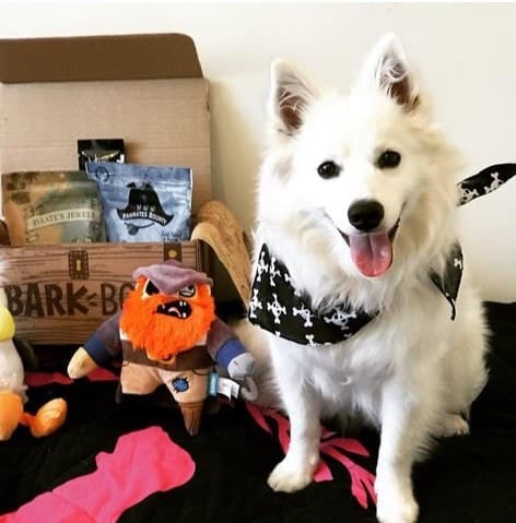 gifts for dogs