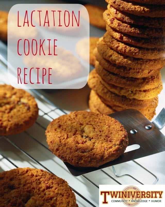 lactation cookie