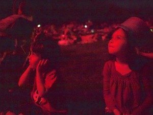 fireworks3