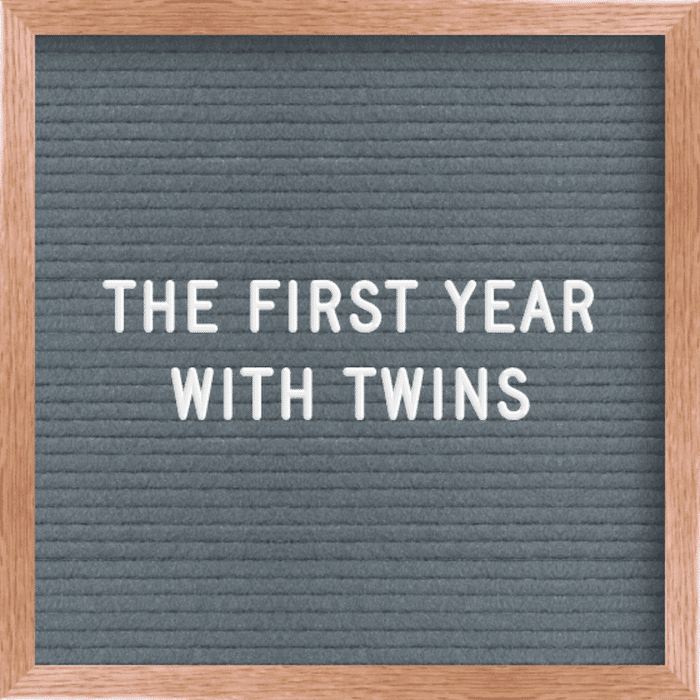 first year with twins