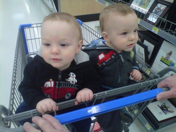 shopping cart seat for twins