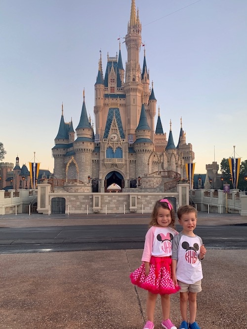 twin 3 year olds in front of cinderella's castle disney world alone