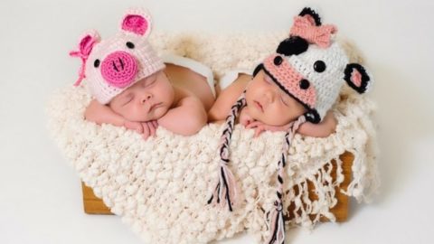 The Ultimate Twin Pregnancy Guide