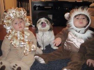 Lion and Monkey with their puppy as the "animal trainer"