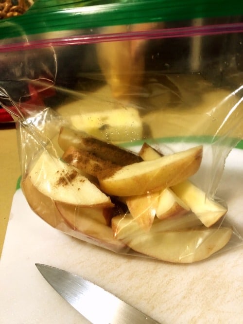 apple slices in a bag with cinnamon lunch packing tips