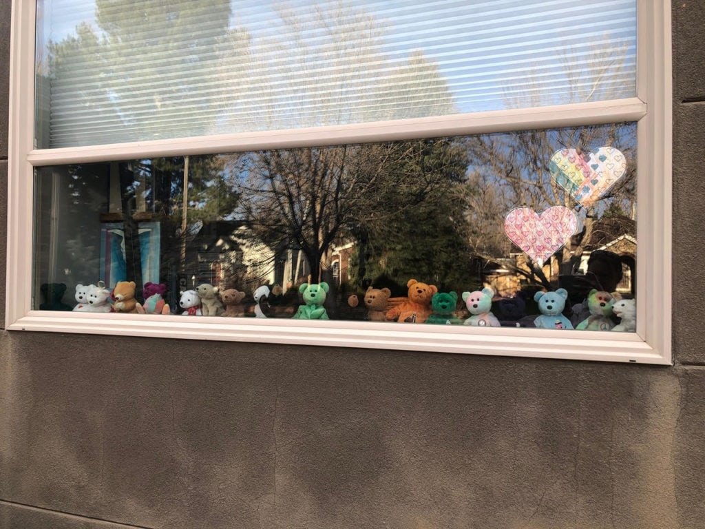 not traveling teddy bears in the window