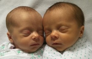 Crib separator for twins discount