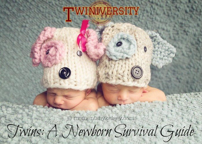Twins: A Newborn Survival Guide