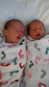 newbornbabytwins12