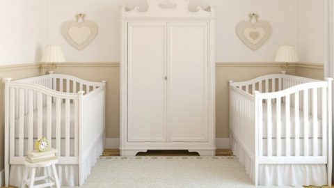 The Ultimate Twin Pregnancy Guide