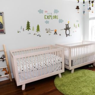 Best Twins Nursery Articles