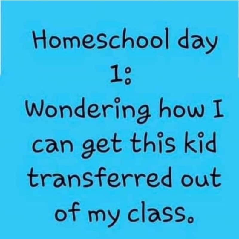 homeschool fails meme