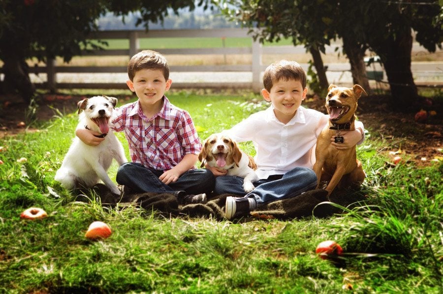 8 Tips for Choosing a Family Pet