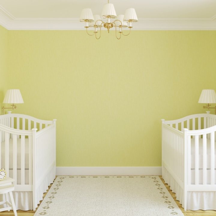 Best Twins Nursery Articles