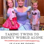 Taking Twins to Disney World Alone