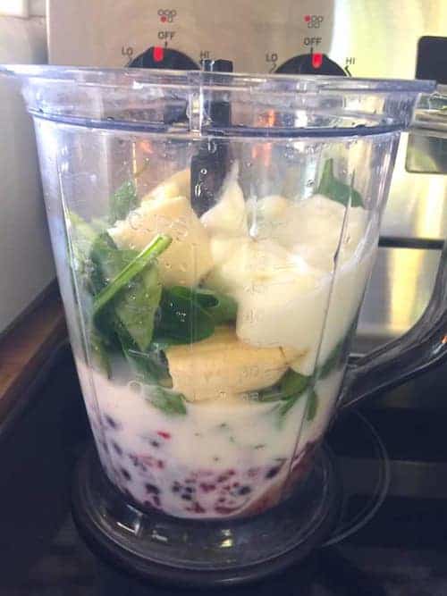 toddler lunch ideas blender with smoothie inside
