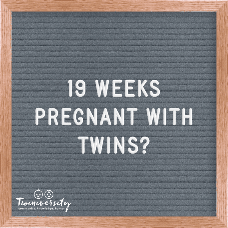 Twin Pregnancy Week By Week Timeline