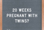 20 weeks pregnant with twins