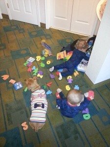 twin toddlers pulling toys out from behind a wall and spreading them on a floor