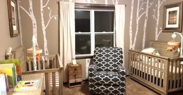 twin nursery design and decor ideas