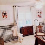 twin nursery design and decor ideas