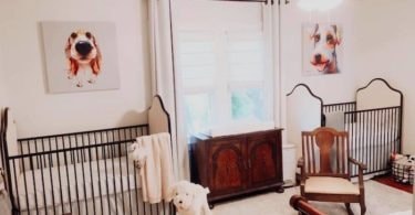twin nursery design and decor ideas