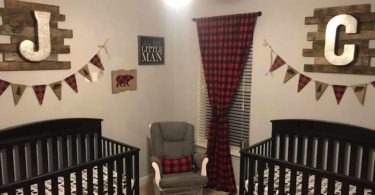 twin nursery design and decor ideas