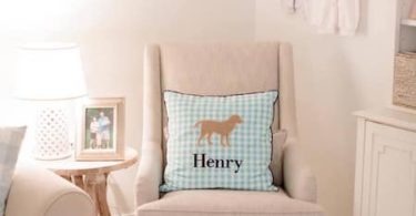 twin nursery design and decor ideas