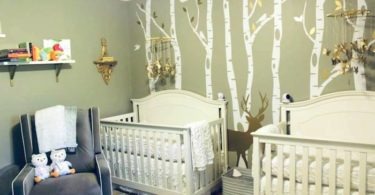 twin nursery design and decor ideas
