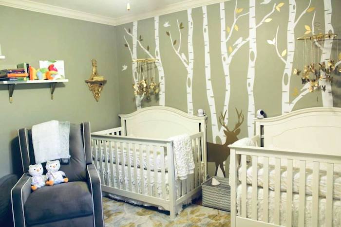 twin nursery design and decor ideas